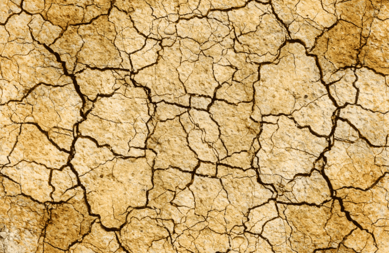 Header immagini DEM - fondo (3) (1)
