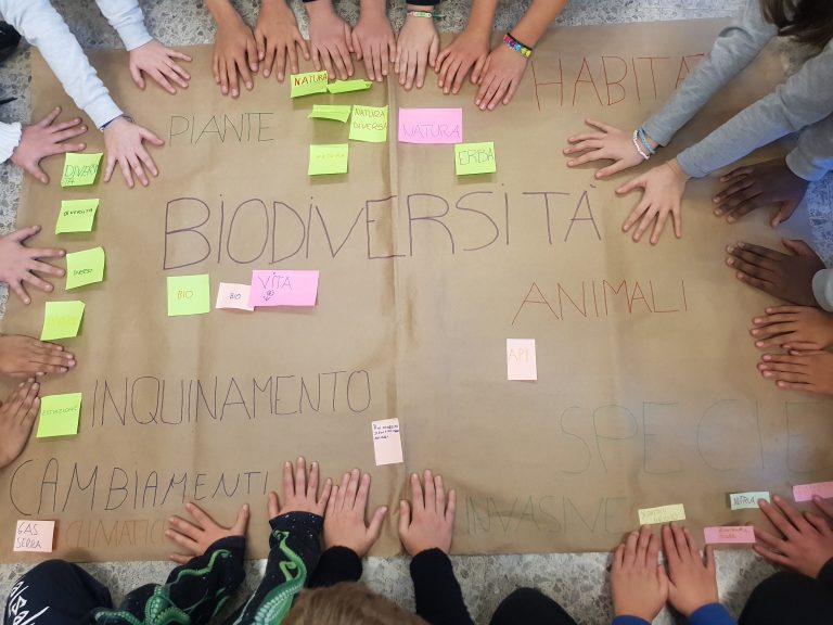 20231214_154951 - Annalisa Terruzzi_concorso missione natura